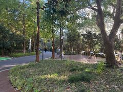 -苏州河梦清园环保主题公园