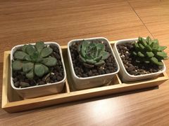 -必胜客(花舞大唐博物馆店)