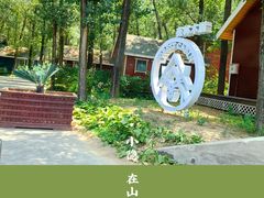 -林栖谷森林康养度假区