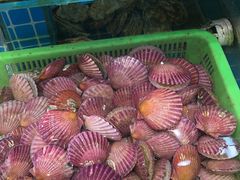 -和源祥·日照菜扛把子(万平口一店)