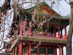 -颐和园-景明楼