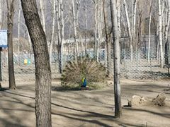 -向外鱼乐·土菜·虹鳟鱼