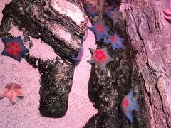 -沈阳海洋探索中心