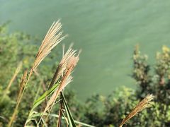 -羚羊峡古栈道森林公园