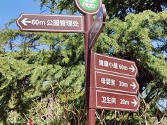 -莲花池公园