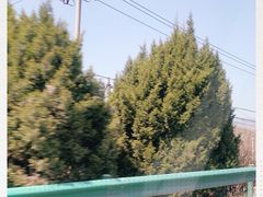 -法门文化景区