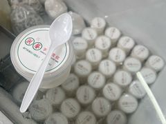 -洪馨椰子