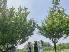 -洨河生态公园
