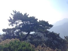 iphone_upload_pic-含鄱口