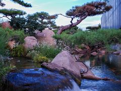 -罗红摄影艺术馆