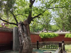 -天宁寺