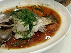 加州鲈-香顺·客家菜(东坑店)