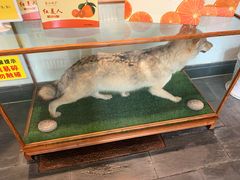 -宁海食府(北岸琴森店)