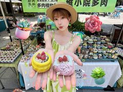 -瑞虹新天地月亮湾
