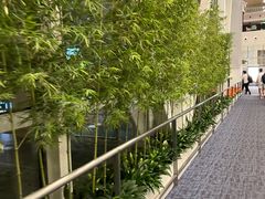 -厦门高崎国际机场-T3航站楼