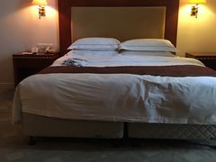 -上海棕榈滩海景酒店