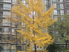 -西南交通大学(九里校区)