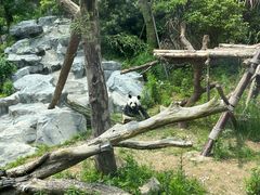 -宁波野生动物园