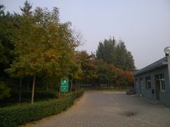 android_upload_pic-金星公园