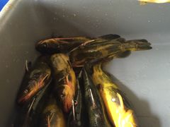 -荣德灶台鱼(圣泉寺店)