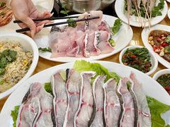 -金砂阿洲鱼册店