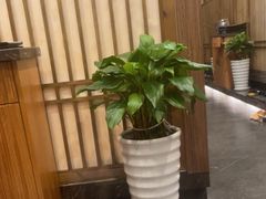 -一本料理(西溪天街店)