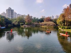 -晓港公园