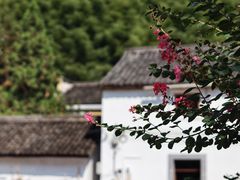 -石舍洒秀咖啡馆