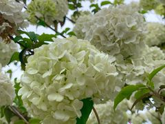 -大龙山(地铁站)