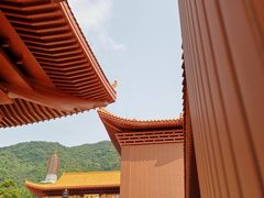 -深圳仙湖植物园