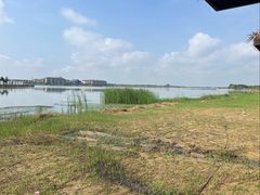 -金沙湖旅游度假区