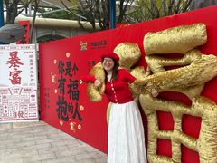-广州融创文旅城