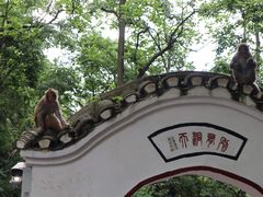-黔灵山公园