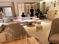 -猫腻·猫咖·撸猫馆(星光大道店)