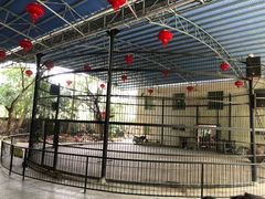 -广东茂名森林公园