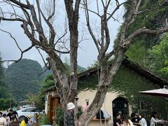 -村上春树