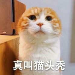 -川和潮人漂色·烫染·接发