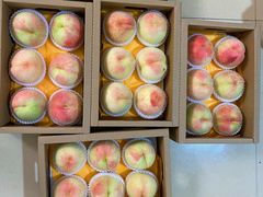 -老袁家蜜桃农场·阳山水蜜桃