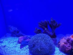 -上海海洋水族馆