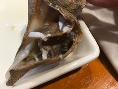 海螺-马路边上·小海鲜烧烤(八一路店)