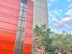 -瑰丽酒店·海吧·天际下午茶·现场DJ·天台酒吧