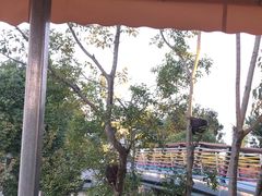 -茅草房·河畔园林火锅