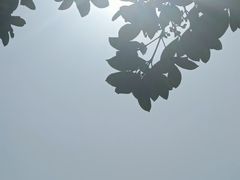 -中国第一滩