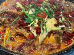 -老板恋上鱼(恒隆广场店)