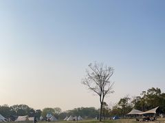 -苏州太湖国家湿地公园