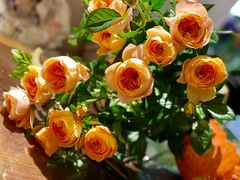 -治愈系甜品The Soothing Dessert(科海大楼店)