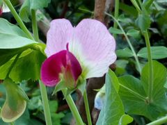 -增城图书馆(荔景大道辅路店)