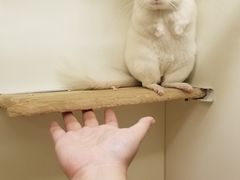 -龙猫仔乐园(惠福东路店)