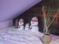 -挂雪铁锅炖大鹅