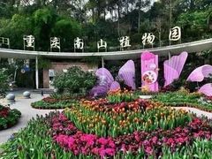 -南山植物园
